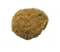 NATURAL SPONGE - Prírodná špongia 1ks