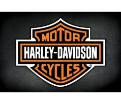 Harley Davidson