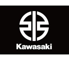 KAWASAKI MOTO